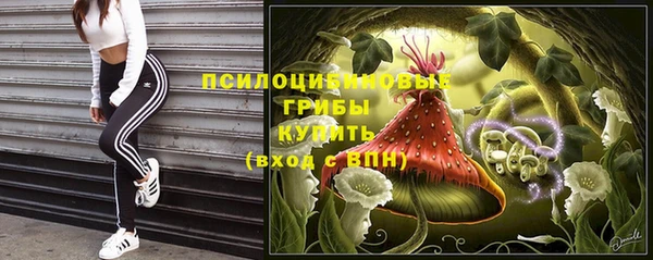 герыч Елизово