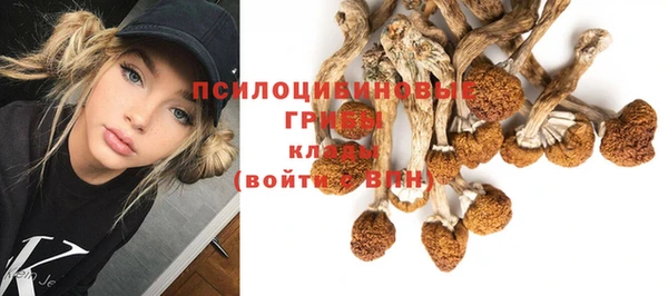 МДМА Елабуга