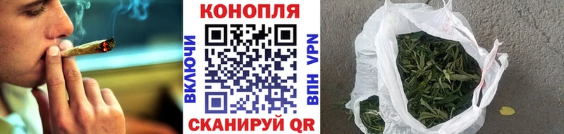 Марихуана гибрид  hydra ТОР  Луза 